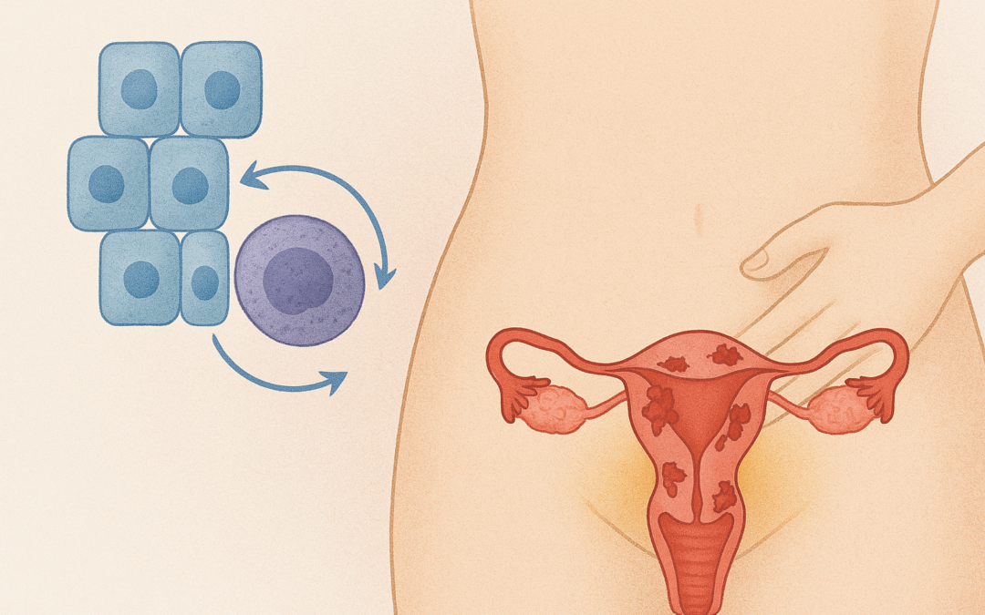 Un hallazgo clave que redefine el tratamiento de la endometriosis: el epitelio como motor de la inflamación